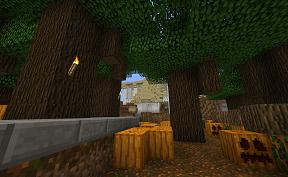 Minecraft Podzol forest