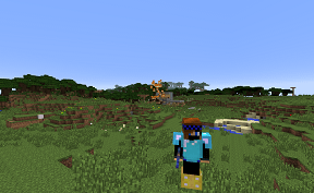 Fields on Minecraft